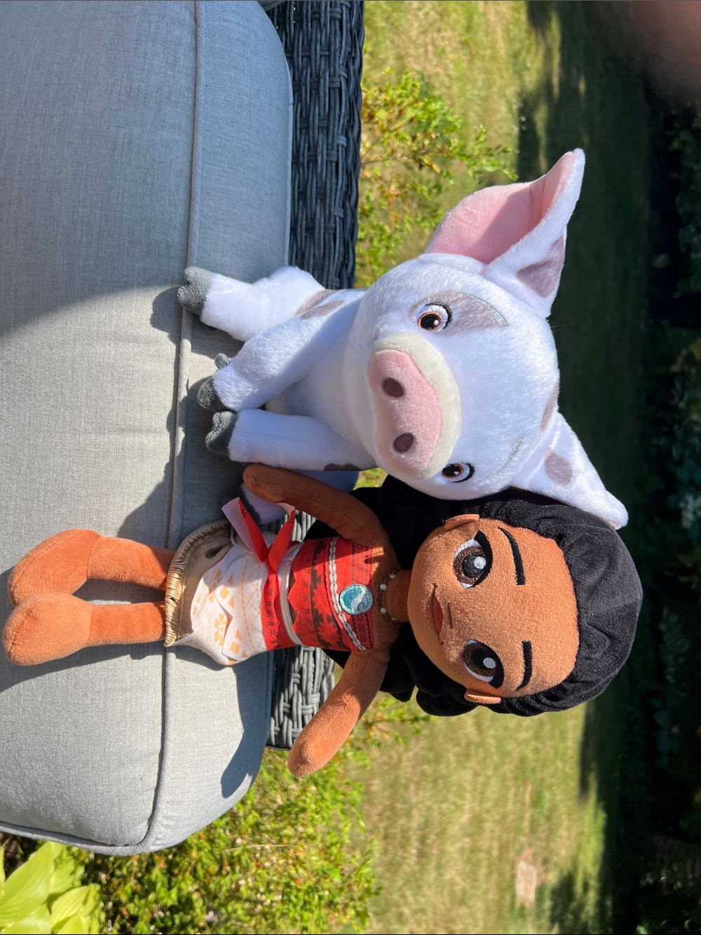 Moana Plush Doll with Pua Pig - Brown & White Plush Set